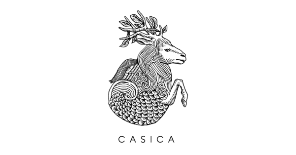 CASICA - 生きた時間と空間を可視化する　